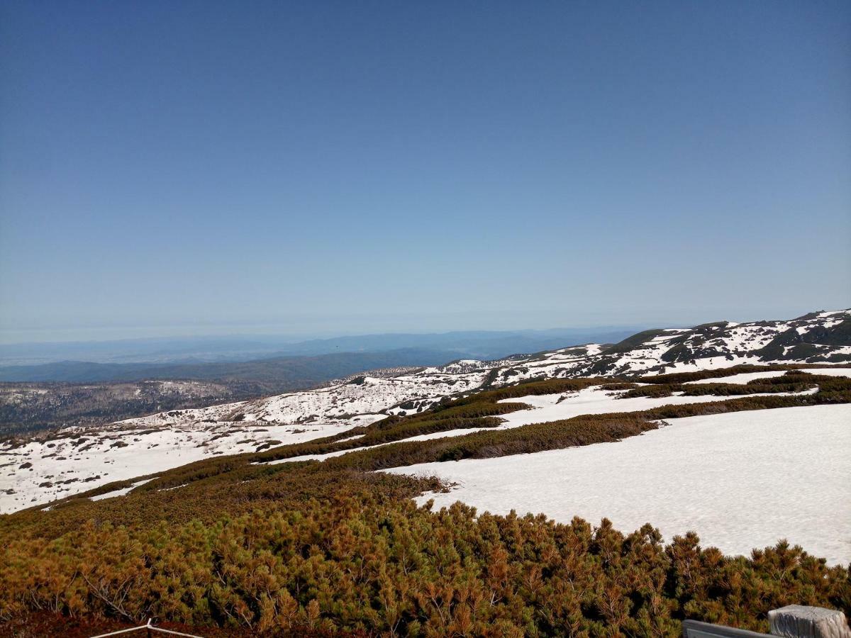 K'S House Hokkaido - Asahidake Onsen Hostel Higashikawa Εξωτερικό φωτογραφία
